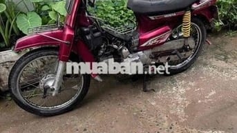 Citi 1998 bstp giấy đủ đi làm chở hàng bao chất