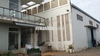 Cho Thuê Xưởng 700m2, + vp 200m2+ sân 200m2
