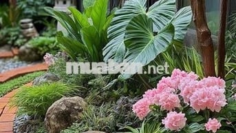 198tr có ngay 1 sào ngay trung tâm. Làm nhà vườn nghỉ dưỡng đẹp mê