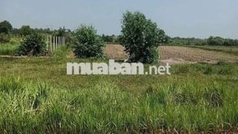 Đất MT Đức Hoà Đông , Đức Hoà , 5x17 85m2 Giá 890 triệu