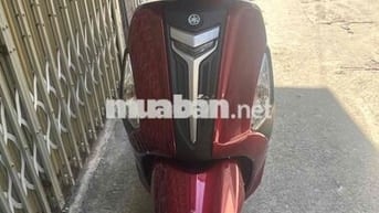 xe chính hãng - đẹp long lanh