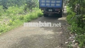 đất nền thổ cư sổ riêng hẻm xe hơi khu dân cư đông đúc