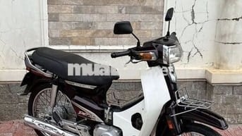 Honda Super Dream 2010 Nâu trắng