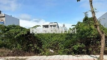 Còn *** 1 lô Hói Kiểng 19 giá 5060 tr