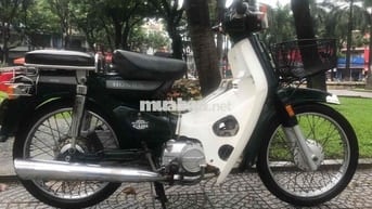 Cup 50 cc Korea 43 Đà Nẵng