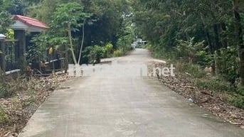 Chính chủ bán nhà và đất, sổ riêng, có thổ cư, Nhuận Đức ,Củ chi