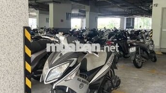 Yamaha Novo 4 2012 Bạc