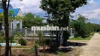 Đất Vườn - Nhánh QL 13 ,ngay 2kcn Minh Hưng