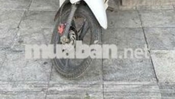 Honda Blade 2019 Trắng Đã sử dụng