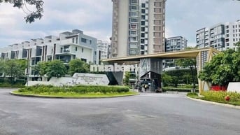 Cho thuê nhanh căn hộ cao cấp Diamond Brilliant - Celadon City. 15tr5