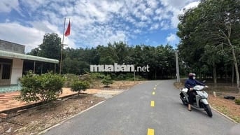 Sang nhanh lô đất mt nhựa ngay ubnd Phước Thành TPHCM giá rẻ