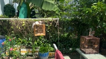 Cần bán lô đất full thổ cư 1/ Dg võ văn vân VL B  DT 266m2 giá 8,7tỷ  