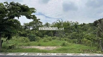 CẦN BÁN GẤP NGUYỄN VĂN NI 224M2 FULL THỔ. ĐẤT ĐẸP, SỔ SẴN CHỜ CHỦ MỚI