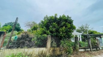 SANG LẠI (17.000M2) ĐẤT TC SHR CÓ SẴN NHÀ VƯỜN SÁT CHỢ GIÁ 8 TỶ 8