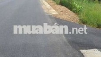 Bán Đất mặt tiền 45m mimosa Đà Lạt Lâm Đồng đất nông nghiệp TMDV