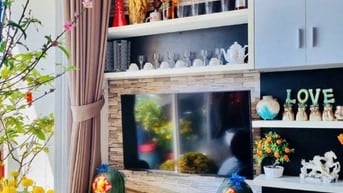 CHO THUÊ CĂN HỘ SUNNY PLAZA 75M2(2PN) GIÁ 14TR