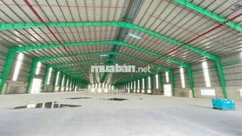 KHO XƯỞNG-PCCC CHUẨN ( 4.000m2 ) CONTAINER 24/24