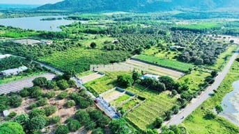 🌊 HOT – ĐẤT ĐẸP THỊ TRẤN PHƯỚC HẢI NGAY HỒ SƠ BÔNG GIÁ 1TY280