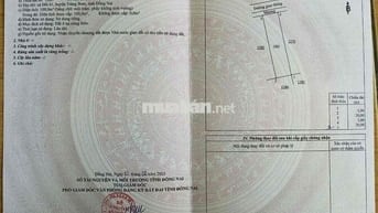 Đất nền An Viễn (xã Đồi cũ) 850 triệu 100m2 1 sẹc ĐT 777 sổ riêng thổ