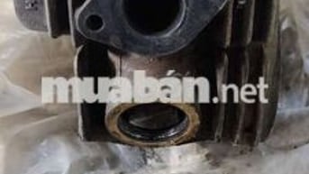 Đầu bò Super Dream