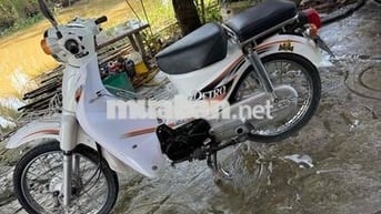 Honda Siêu cúp 50cc màu Trắng