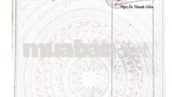 bán 2 căn nhà kiệt nguyễn duy trinh thông đường bùi bỉnh uyên