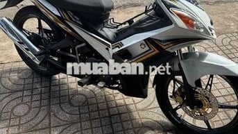 ex nhỏ 4 số 1s94