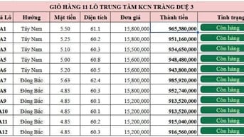 BÁN ĐẤT KHU CÔNG NGHIỆP TRÀNG DUỆ 3 , HUYỆN AN LÃO , XÃ BÁT TRÀNG 