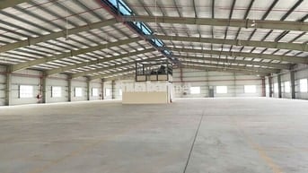 CHO THUÊ KHO XƯỞNG 1650M2 QUẬN 6- ĐƯỜNG CONT 24H- PCCC VÁCH