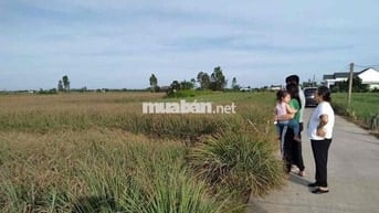 Đất Tân Phú Đông - Minh đường tụ thuỷ