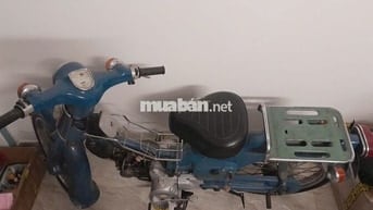 Honda Cub 50 Xanh Đã sử dụng