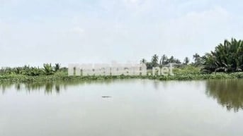 1000m2 VIEW SÔNG 599 Triệu Sổ Sẵn, đường Ô Tô, Nền Cao. về HCM 25p