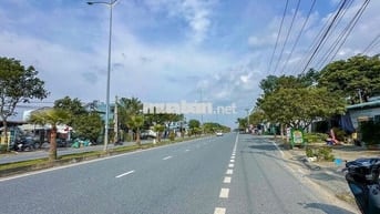 Mặt Tiền Đường Trần Thủ Độ(607). Vị trí vàng kinh doanh - buôn bán