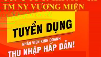 CÔNG TY TNHH MTV SX TM NY VƯƠNG MIỆN TUYỂN NHÂN VIÊN KINH DOANH