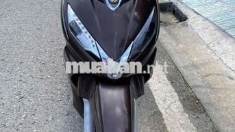 Shark biểnTP nguyênzin