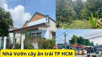 Chính chủ kẹt tiền cần bán gấp, vườn trái cây nghỉ dưỡng, tặng nhà C4