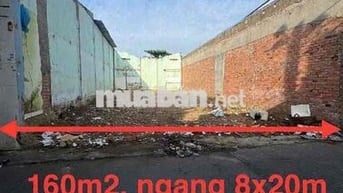 bán đất tỉnh lộ 10, 160m2, ngang 8x20m, đường nhựa ô tô 8m thông,ko QH