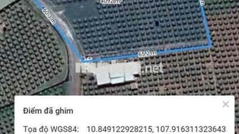 Bán Đất Hàm Minh 4000m2 - Cách QL1A 1km - Cách Phan Thiết 25km