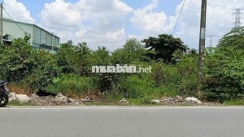 BÁN GẤP NGAY LÔ ĐẤT THỔ CƯ 341M2 – NGỘP 790TR, TÂN THÔNG HỘI, CỦ CHI