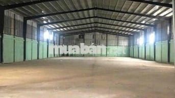 Cho thuê kho, xưởng 1.300m2 giáp Hiệp Thành Quận 12