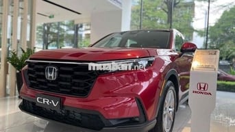 CRV L lăn bánh tỉnh 1.120 chưa Bh, ngân hàng bao