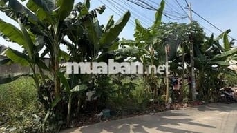 bán lô đất long thới giá rẻ bất ngờ -nhà bè