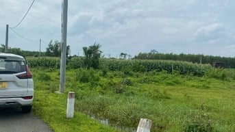 CÔNG TY ĐẤU GIÁ HỢP DANH MINH PHÁP THÔNG BÁO ĐẤU GIÁ TÀI SẢN Tổ chức h