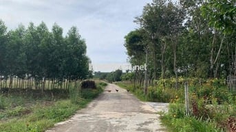 🌿 ĐẤT SÀO NGHỈ DƯỠNG CHƠN THÀNH – VIEW ĐẸP, GIÁ CHỈ 950 TRIỆU/SÀO! 🌿 🍃