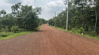 CÔNG TY ĐẤU GIÁ HỢP DANH MINH PHÁP THÔNG BÁO ĐẤU GIÁ TÀI SẢN