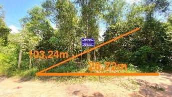 Công ty Đấu giá hợp danh Lam Sơn Sài Gòn THÔNG BÁO ĐẤU GIÁ TÀI SẢN