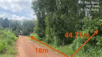 Công ty Đấu giá hợp danh Lam Sơn Sài Gòn THÔNG BÁO ĐẤU GIÁ TÀI SẢN