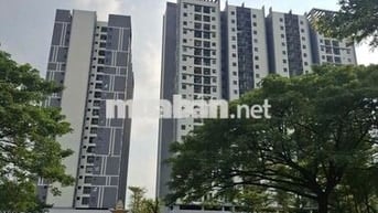 Gấp gấp, làm ăn thua lỗ chủ nhà cần bán căn 2pn,2wc tại Tòa C EcoXuân