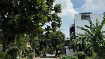 Shock! Bán gấp lô dất 10x24 Khu An Phú Q2- Chủ kẹt tiền xả nhanh 42 tỷ