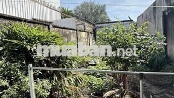 HÀNG MỚI  chủ gởi  BÁN LÔ ĐẤT TẶNG LUÔN CĂN NHÀ  ĐƯỜNG TAM ĐÔNG 1 Xã T